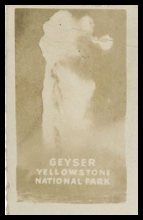 Geyser Yellowstone Park